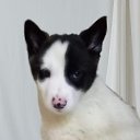 ���� �������, ������, 39 ��� - ��������� 4 ��� 2025