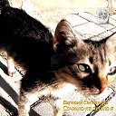 ���� Wal, ������� - ��������� 9 ������� 2023