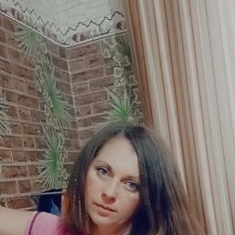 ���� ����, ����, 41 ��� - ��������� 11 ���� 2026