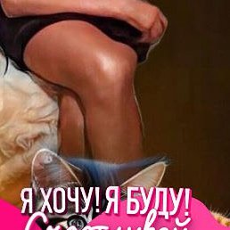 ������, �������, 41 ���