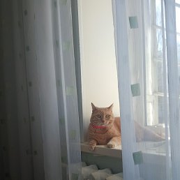 ������, ������, 20 ���