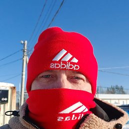 ������, ���������, 44 ����