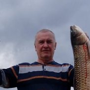 ��������, 65 ���, ������