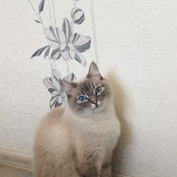 ����, ������, 25 ���