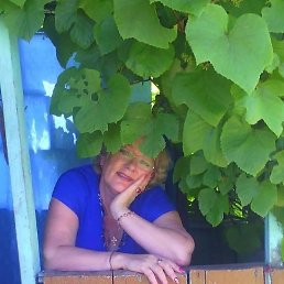 �������, �����������, 64 ����