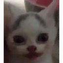 ���� �����, �����������, 25 ��� - ��������� 1 ������ 2026 � ������ ���� ����������