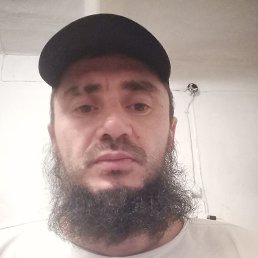 , 39, 