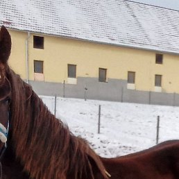 �����, ����, 45 ���