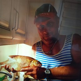 , 54, 