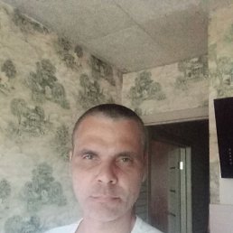 , 44 , 