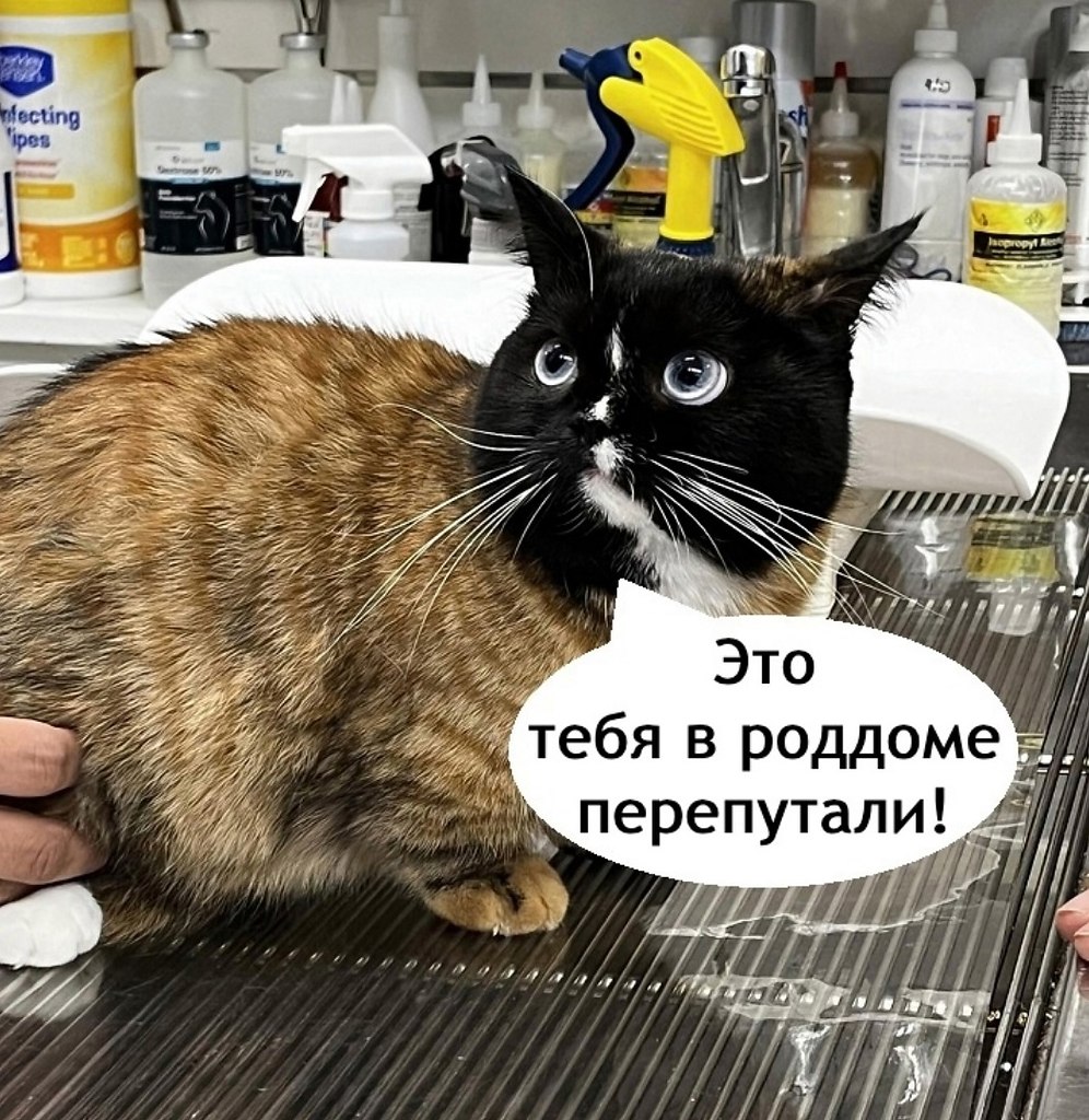     - 2