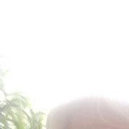 ��������, 61 ���, ��������