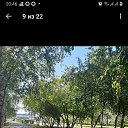 ���� ������, ����, 49 ��� - ��������� 21 ������ 2026 � ������ ���� ����������