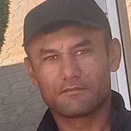 ��������, ������������, 44 ����