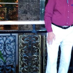 �������, �����-���������, 77 ���