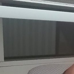 ����, �����, 43 ����