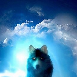 ����������, ��������, 52 ����