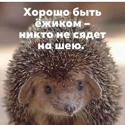 ���� �������, ������-��-����, 65 ��� - ��������� 22 ������� 2026