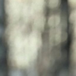 Olegus, �������, 19 ���