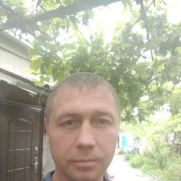 , 37, 