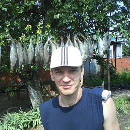 ���� ���������, �������, 56 ��� - ��������� 8 ������ 2026