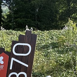 ���� ��������, ������, 60 ��� - ��������� 17 ������� 2023