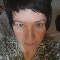 �����, ���������, 49 ���