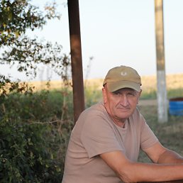 , 61, 
