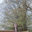 ���� ������, �������, 43 ���� - ��������� 9 ������� 2025 � ������ ���� ����������