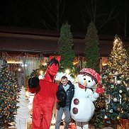 ����, 42 ����, ������