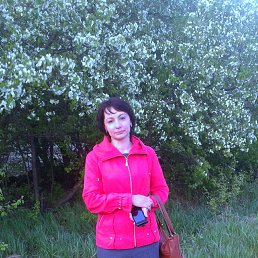 ���� ������, ���� - ��������� 8 ������ 2026