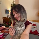 ���� ���������, ����, 33 ���� - ��������� 18 ������� 2026 � ������ ���� ����������