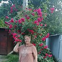 ���� ������, ���������, 63 ���� - ��������� 17 ������� 2025 � ������ ���� ����������