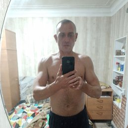 , 44, 