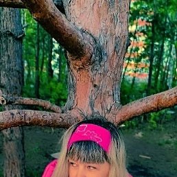 �������, �������, 41 ���