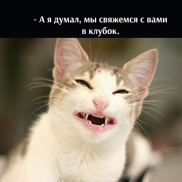       - 28  2025  10:44 - 4