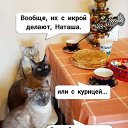 ���� ����, ��������� - ��������� 24 ������ 2025 � ������ ������ ��������