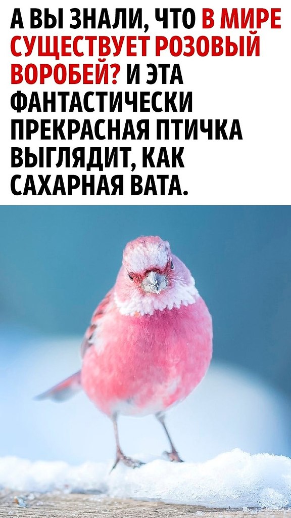  ,     ,      ...