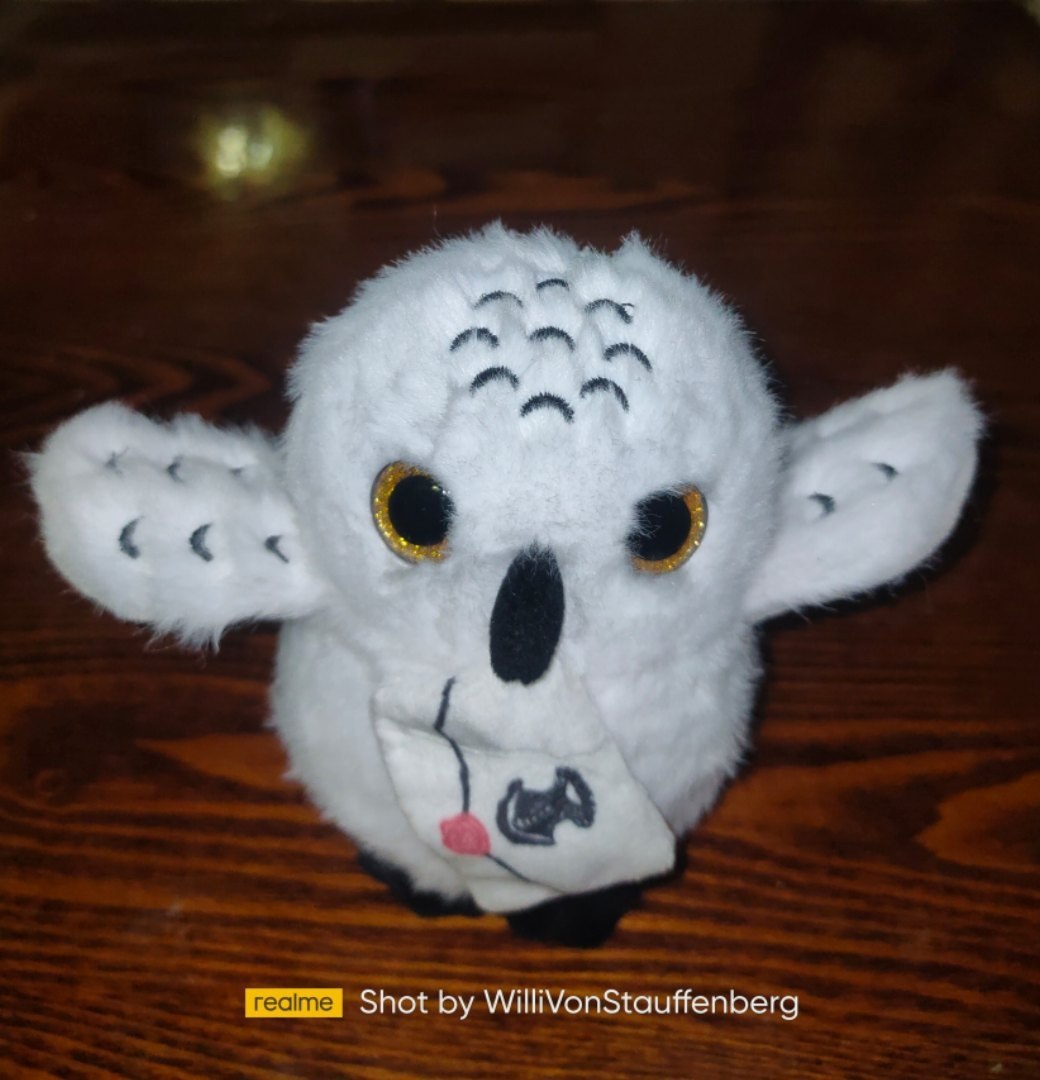 ���� � ������� �� ��������. ���������... #Wilhelmina_von_Stauffenberg # # #������_��_������� ...