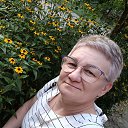  , --, 53  -  22  2025    