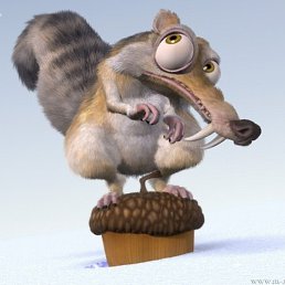 ������, ��������, 40 ���