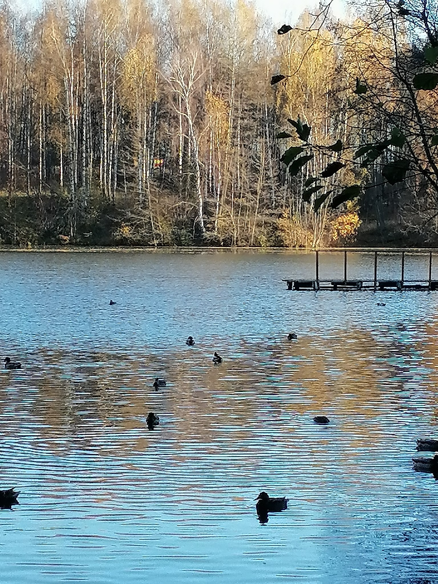 Галчон Ок - 23 октября 2025 в 19:43