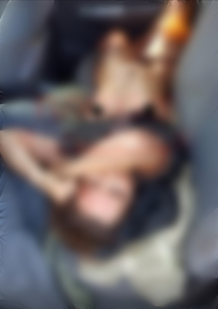    .   ,       ...