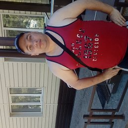 ����, ����������, 37 ���