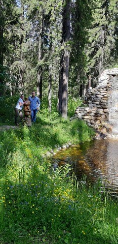 ���� ������, ���������, 34 ���� - ��������� 4 ������ 2024