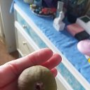 ���� ������, ���������� - ��������� 3 ������� 2026 � ������ ���� ����������