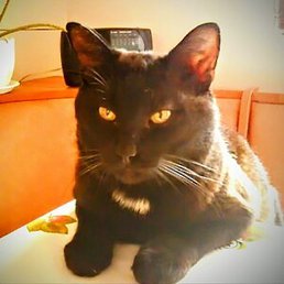 Leonid, ������, 66 ���