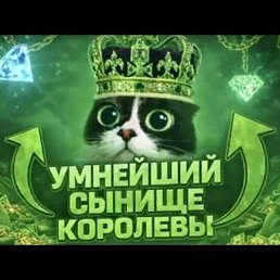 �����, �������, 21 ���