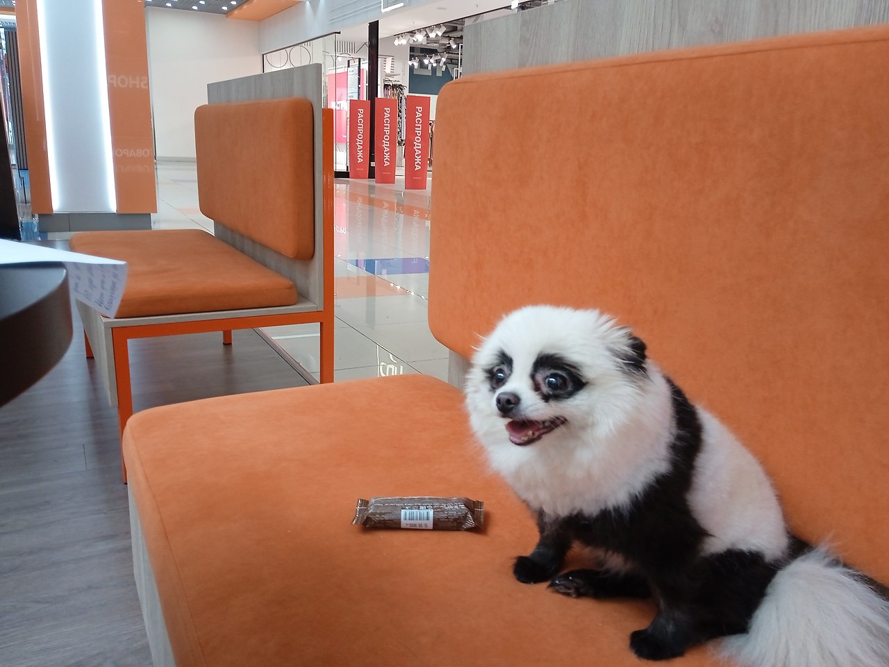   - 16  2025  09:44 - 4