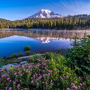 ���� ������, ��������� - ��������� 5 ������� 2025 � ������ ������ ��������